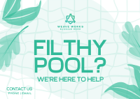 Filthy Pool? Postcard Image Preview