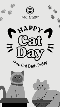 Happy Cat Life TikTok Video Image Preview