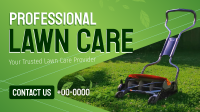 Professional Lawn Care Video Preview