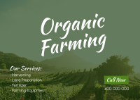 Farm for Organic Postcard Design