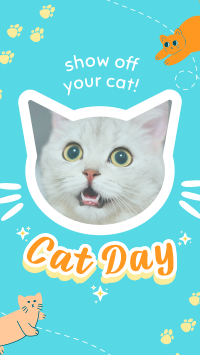 Show off your cat! Video Image Preview