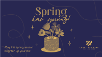 Spring Flower Pot Video Image Preview