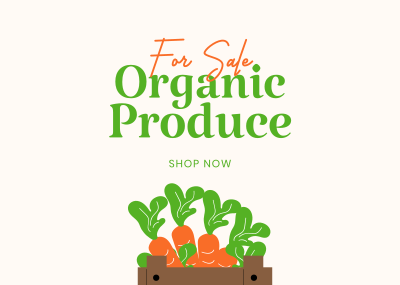 Organic Produce For Sale Postcard Image Preview