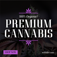 High Quality Cannabis Linkedin Post Image Preview