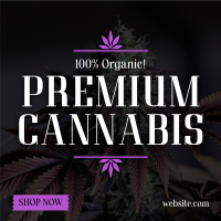 High Quality Cannabis Linkedin Post Design