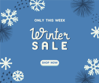 Decorative Winter Sale Facebook post Image Preview