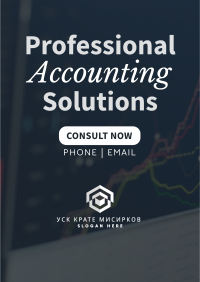 Professional Accounting Solutions Flyer Image Preview