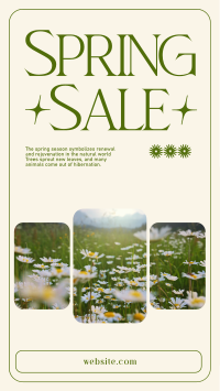 Spring Time Sale Facebook story Image Preview