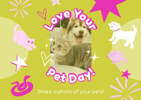 Share your Pet's Photo Postcard Design