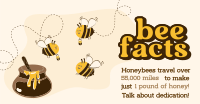 Honey Bee Facts Facebook ad Image Preview