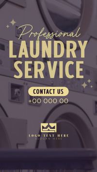 Professional Laundry Service TikTok Video Preview