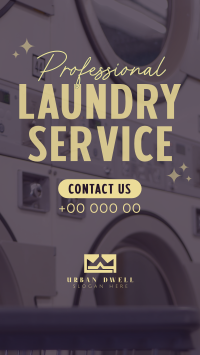 Professional Laundry Service TikTok Video Design