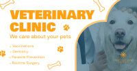 Professional Veterinarian Clinic Facebook ad Image Preview