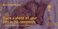 Love Your Pet Day Giveaway Twitter Post Image Preview