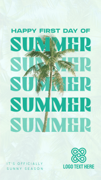 Summer Palm Tree TikTok Video Design