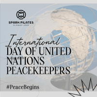 UN Peacekeepers Day Instagram post Image Preview