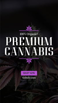 High Quality Cannabis YouTube Short Design