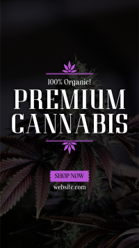 High Quality Cannabis YouTube Short Image Preview