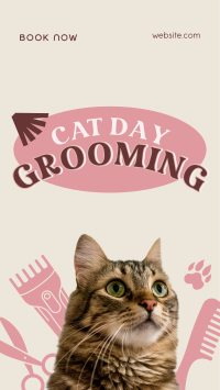Cat Day Grooming Instagram reel Image Preview