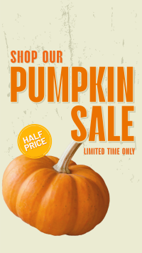 Autumn Seasonal Sale Instagram reel Image Preview