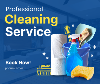 The Professional Cleaner Facebook Post Image Preview