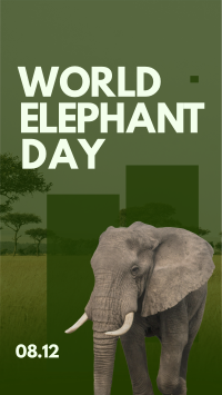 World Elephant Celebration YouTube short Image Preview