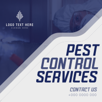 Straight Forward Pest Control Linkedin Post Image Preview