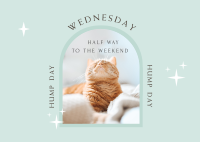 Wednesday Hump Day Postcard Image Preview