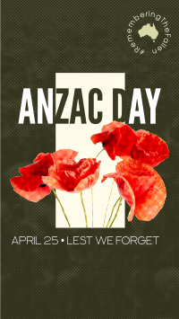 Anzac Halftone Video Image Preview