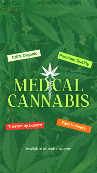 Trusted Medical Marijuana Instagram Reel Design