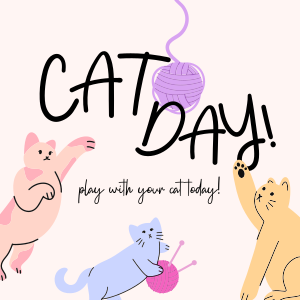 Cat Playtime Instagram post Image Preview
