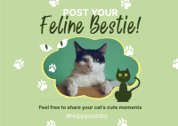 Cat Appreciation Post Postcard Design