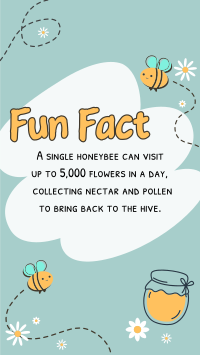 Bee Day Fun Fact Instagram story Image Preview