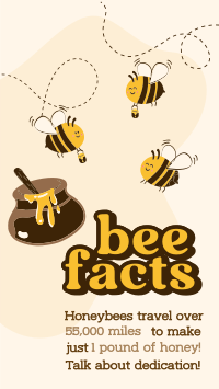 Honey Bee Facts Instagram Story Design