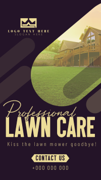 Professional Lawn Cleaning Video Preview