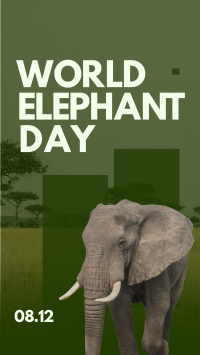 World Elephant Celebration Instagram Reel Image Preview