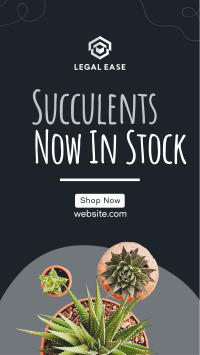 New Succulents Facebook story Image Preview