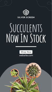 New Succulents Facebook Story Design