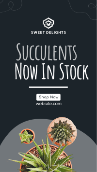 New Succulents Facebook story Image Preview