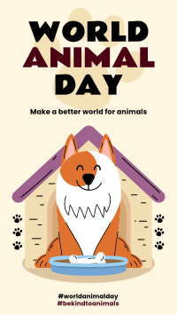 Be Kind to Animals Instagram story Image Preview