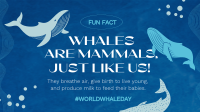 Whale Fun Fact Animation Preview