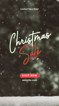 Christmas Sale Facebook story Image Preview