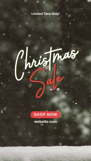 Christmas Sale Facebook story Image Preview