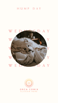 Wednesday Hump Day Facebook Story Design