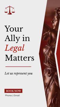 Legal Matters Expert Instagram reel Image Preview