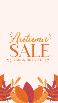 Autumn Limited Offer YouTube Short Preview