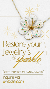 Jewelry Cleaning Luxe TikTok Video Image Preview