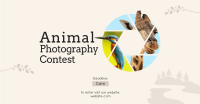 Animals Photography Contest Facebook Ad Design