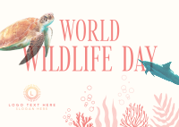 Aquatic Wildlife  Postcard Design