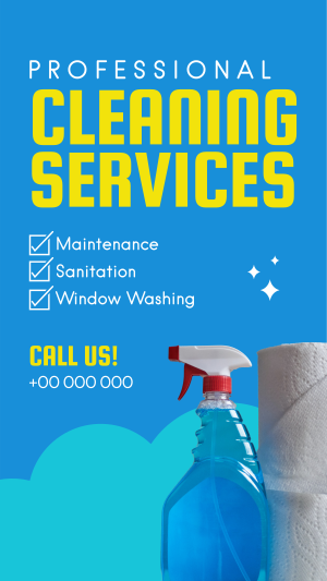 Professional Cleaning Services Facebook story Image Preview